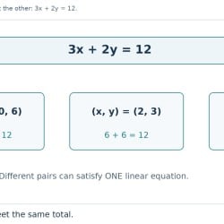 Two Variables, One Line Chapter Notes - Maths Class 9 - New NCERT (Ganita
