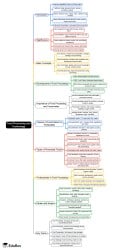 Food Processing and Technology Mind Map - Humanities/Arts PDF Download