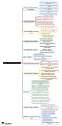 Object-Oriented Programming Mind Map - Grade 12 PDF Download