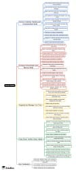 Study Skills Mind Map - Grade 10 PDF Download