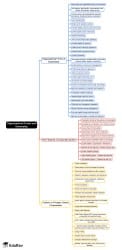 Organizational Forms and Ownership Mind Map - CFA Level 1 Corporate Issuers