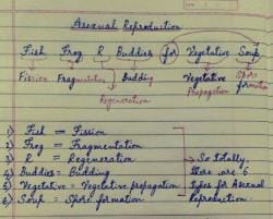 Overview of Asexual reproduction with amazing codes and tricks to ...