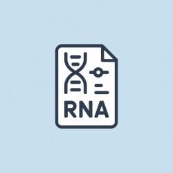 RNA PDF Download