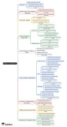 Mind Map: Religious Organizations - Crash Course for UGC NET Sociology ...