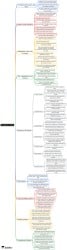 President Mind Map - Judiciary Exams PDF Download