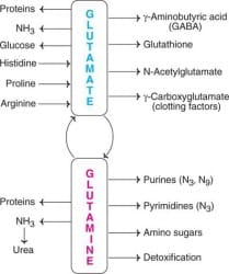 glutathione iv before and after indian skin Glutathione Supplement | Glutathione Antioxidant | BrainMD main image 0