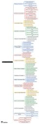 Introduction and Functions of Communication Mind Map - UGC NET Crash Course