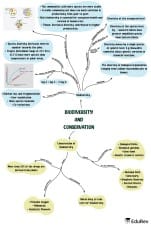 Biodiversity and Conservation Mind Map - NEET Biology Class 12