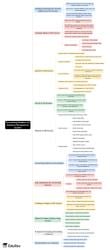 Accounting Database for Database Management System Mind Map - SSC CGL
