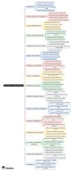 Why and How Mind Map - Humanities/Arts PDF Download