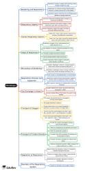 Mind Map - NEET PDF Download
