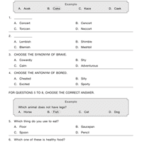 Previous Year Papers for English Olympiad (2019-20): Set B - Class 2