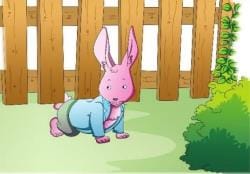 The Tale of Peter Rabbit Chapter Notes - English Class 1 ICSE PDF Download
