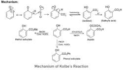 Kolbe’s Reaction - JEE PDF Download