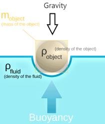NCERT Exemplar - Gravitation (Floatation) ( PART - B) - Class 9 PDF ...