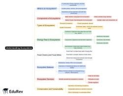 Mind Map - PDF Download