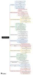 Mind Map Chapter Notes Trial - B2ed5b7d 954d 4b2e B3b0 343d6d3cb3ab Icon