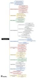 Definition and Sources of International Law Mind Map - UGC NET PDF Download