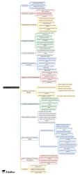 Unit 5 Curriculum Studies Mind Map - UGC NET PDF Download