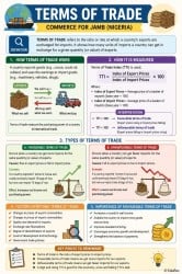 Infographic Terms of Trade - Commerce for JAMB PDF Download