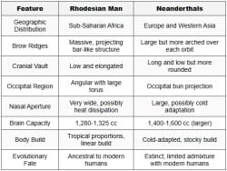 Rhodesian Man - Anthropology Optional for UPSC PDF Download