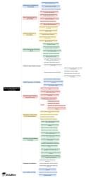 Mind Map: Structuring Database for Accounting - SSC CGL PDF Download
