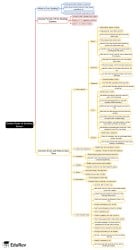 Golden Rules of Spotting Errors Mind Map - CDS PDF Download