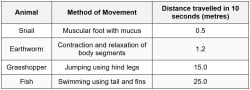 Movement Important Questions - PSLE Science PDF Download
