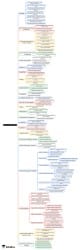 sexual-jurisprudence-4-mind-map-neet-pg-forensic-medicine-and