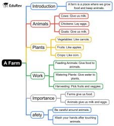 Mind Map: A Farm - English for Class 1 (Mridang) PDF Download