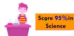 CBSE board exam 2024: Tips to score more than 95+ in Class 10th Science ...