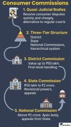 Infographics Consumer Commissions - Indian Polity for UPSC CSE PDF Download