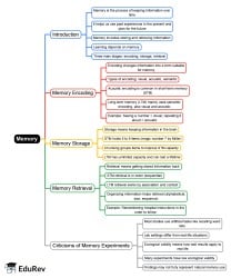 Memory Mind Map - Bachelor of Arts (BA) PDF Download