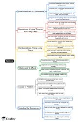 Habitats Mind Map - Grade 3 PDF Download