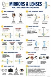 Infographic Light Mirrors and Lenses - Science Curiosity Class 8 - New