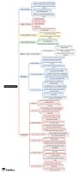 Group Behaviour Mind Map - UGC NET Crash Course Management PDF Download