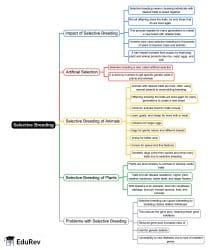 Mind Map: Selective Breeding - Grade 8 PDF Download