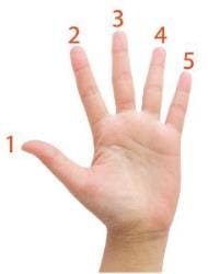 Computer Mouse Chapter Notes Computer Studies Class 1 Icse Pdf Download