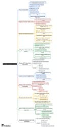 Finding Common Ground Mind Map - Class 7 Maths (Ganita Prakash) - New NCERT