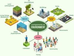 Basic Introduction to Environment - I - Crash Course for UGC NET ...