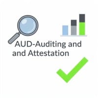 AUD - Auditing and Attestation