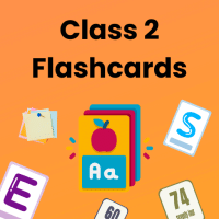 Flashcards for Class 2