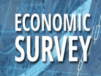 Economic Survey   Government Reports