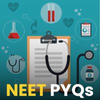 NEET Past Year Papers