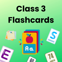 Flashcards for Class 3