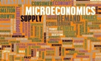 Microeconomics- Interaction between individual buyer-seller