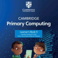 Year 5 Computing IGCSE  Cambridge 