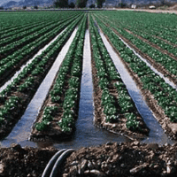 Irrigation  Video Lectures 