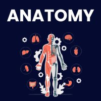 Anatomy