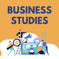 Business Studies for Grade 11